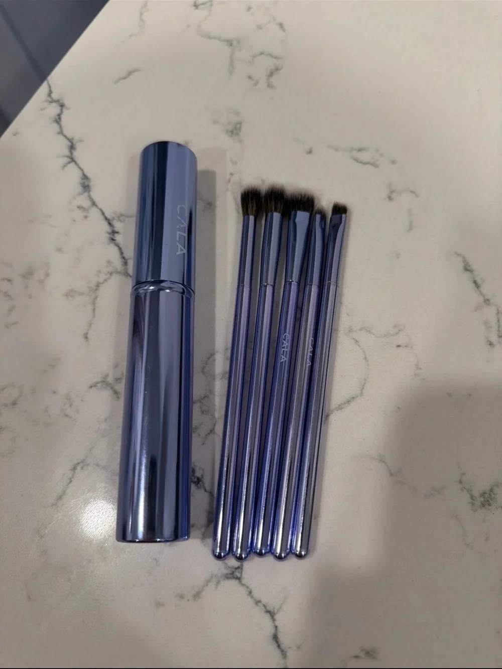 NWOT CALA Eye make up brushes